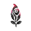 Order of the Black Rose Narxi