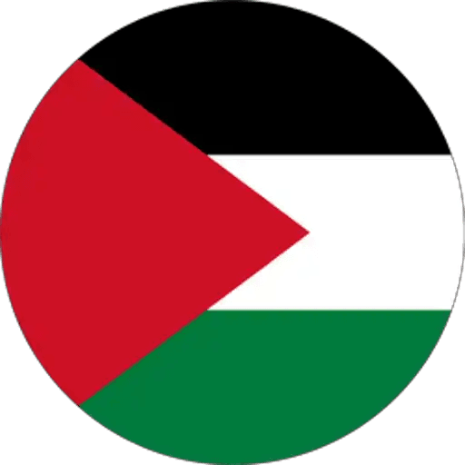 كيفية بيع Palestine Coin (PALESTINE)