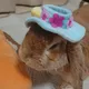 Ціна PEKO