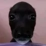 PEPA