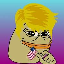 PepeTrump price