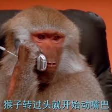 Harga Phone Monkey
