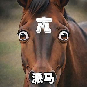 Pi horse(派马)とは