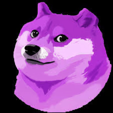 Czym jest Pimp Doge(POGE)