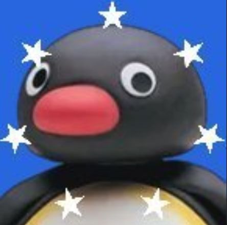 PINGUの価格