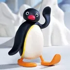 Conversor e calculadora de PINGU (PINGU)