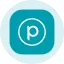 Planet Labs Tokenized Stock (Ondo) (PLon) converter and calculator