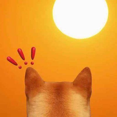 Apa itu Point of Bonk(POB)