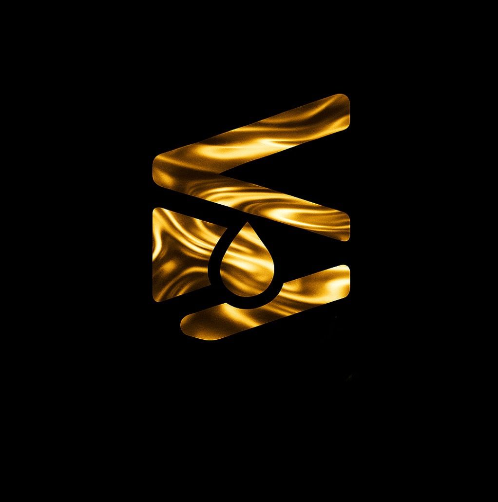 Що таке PolyDark(POLYDARK)