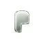 Pons