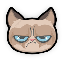 Ponzio The Catの価格
