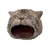 POPCAT