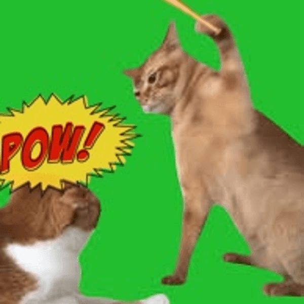 ¿Qué es Pow!(Pow)?
