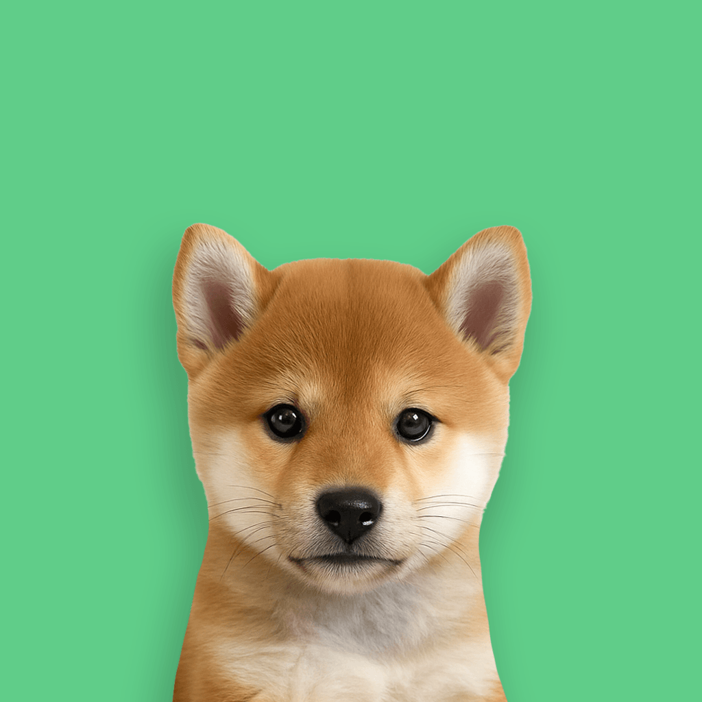 Как продать Profile Dog (PFDOG)
