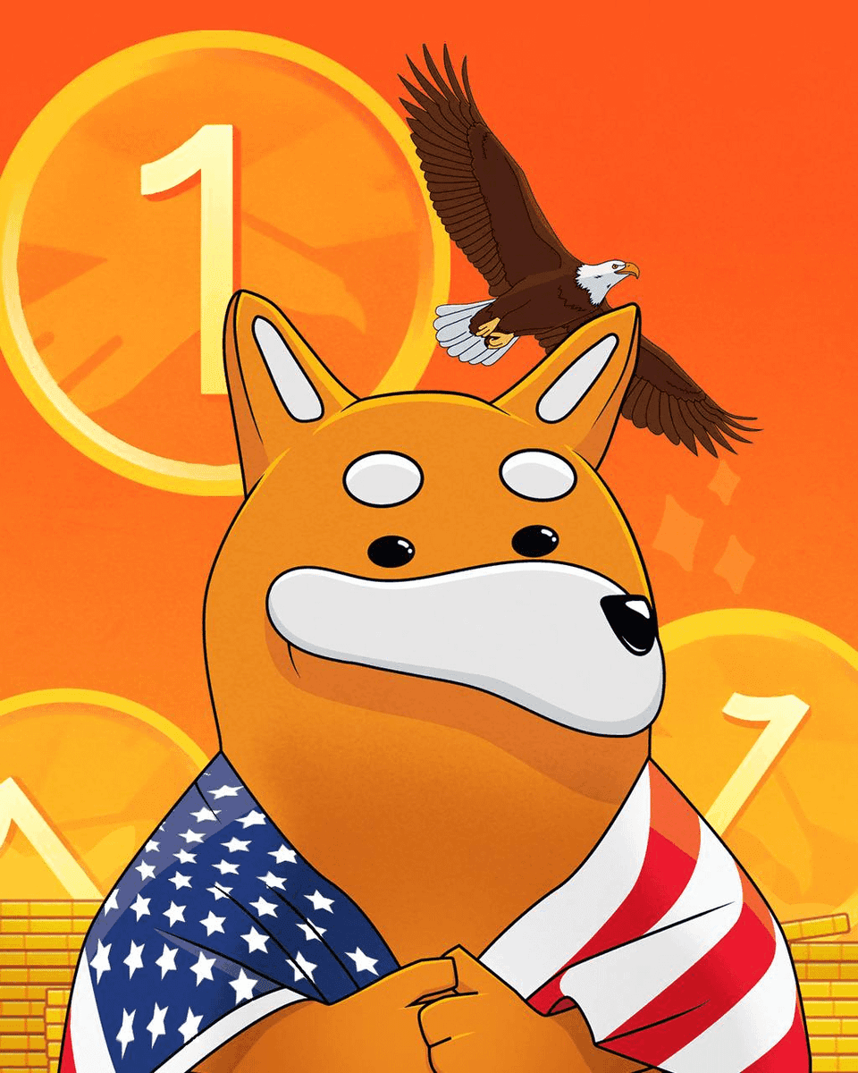 什么是 project BONK1(BONK1)