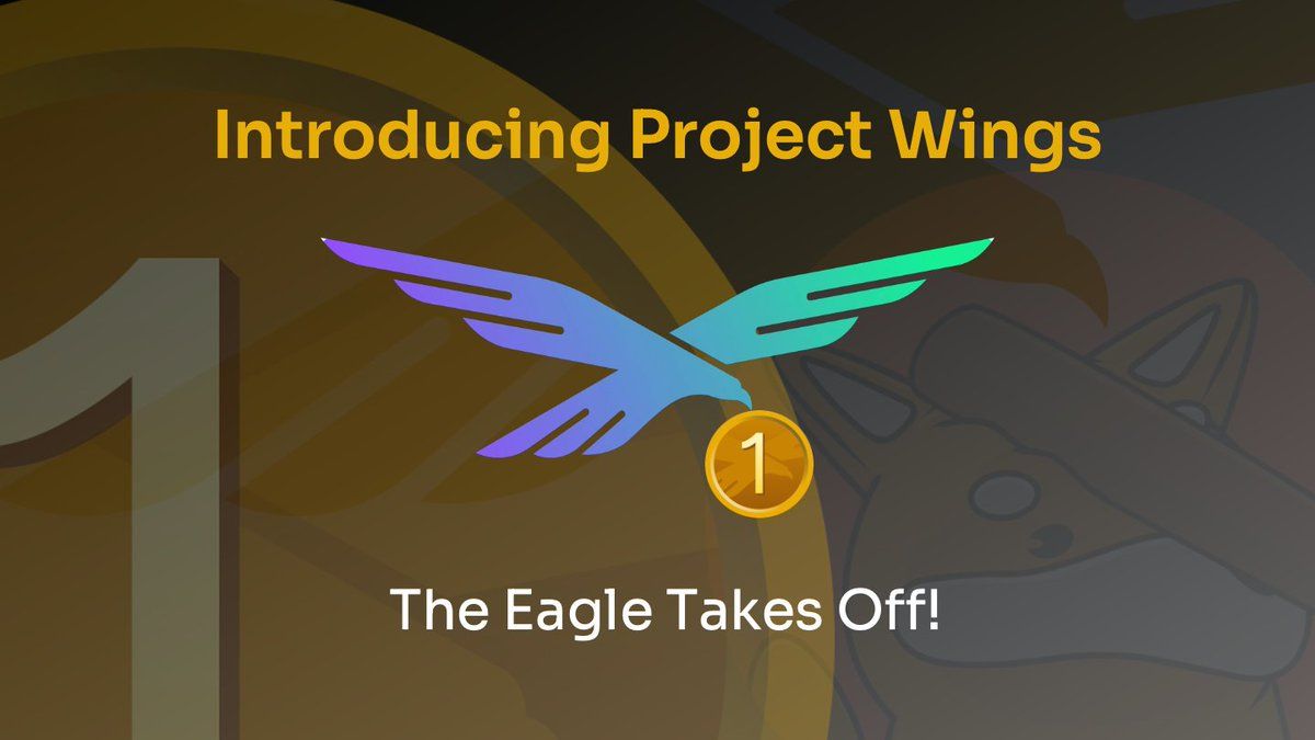 project wings 價格