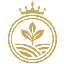 Máy tính và chuyển đổi RAI Token (RAI)