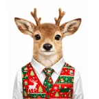 Reindeer In Vest(REINVEST)轉換器與計算器