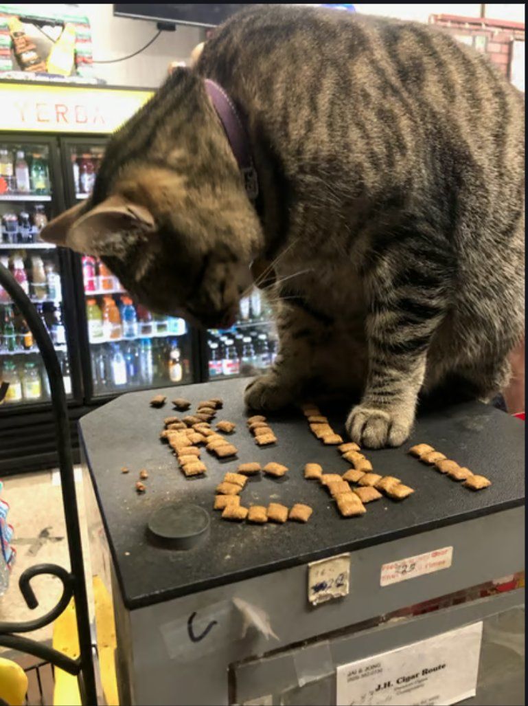 Remember KitKat 价格