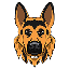 Rex Inu price