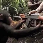 Conversor y calculadora de Rise of the Planet of the Apes (Xingxing)