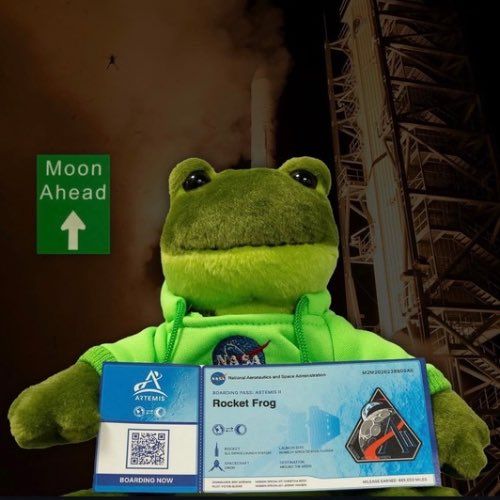 Precio de Rocket Frog