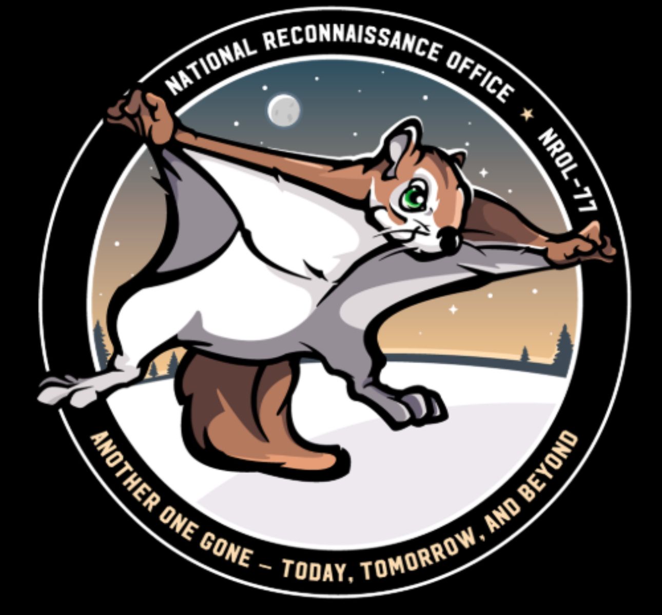 What is Rocky The Flying Squirrel(ROCKY)