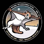 Rocky the Squirrel (RNUT) converter at calculator