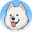 Samoyed price
