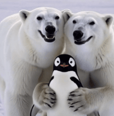 Save The Penguin