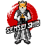 Sensei Shib price