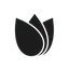 Sesameseed (SEED) Konverter und Rechner