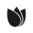 SEED