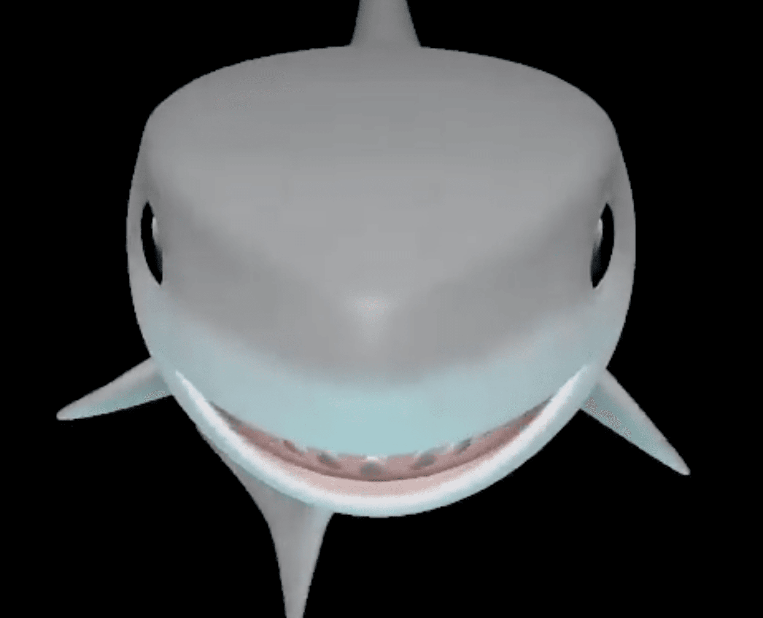 SHARK GUY