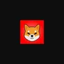 Shibtoken