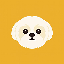 Shih Tzu price