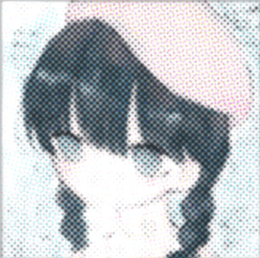 What is SHIROCHAN(SHIRO)