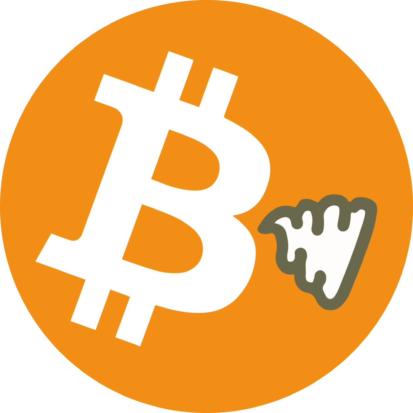 What is shitcoin™(STC)