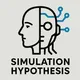 Simulation Hypothesis Kurs