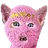 SKICAT