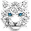 Конвертер і калькулятор Snow Leopard (SNL)