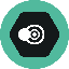 SNPIT TOKEN (SNPT) converter and calculator