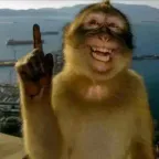 Конвертер и калькулятор Solver Monkey (SOLVER)