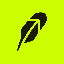 SpaceX Tokenized Stock (Robinhood)