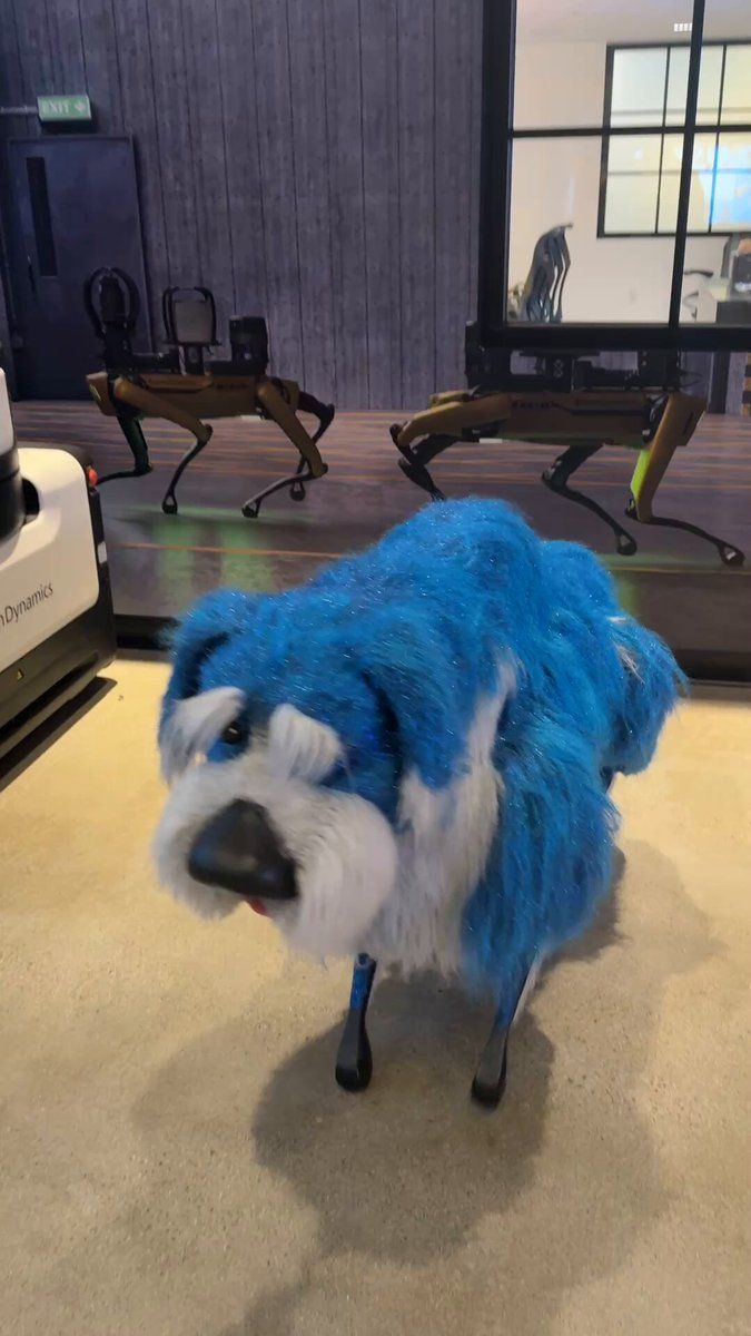 Sparkles(SPARKLES) nima