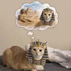 SPHYNX (SPHYNX) converter and calculator