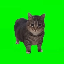 spinning cat price