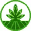 Convertitore e calcolatore di Strains Finance (SFN)