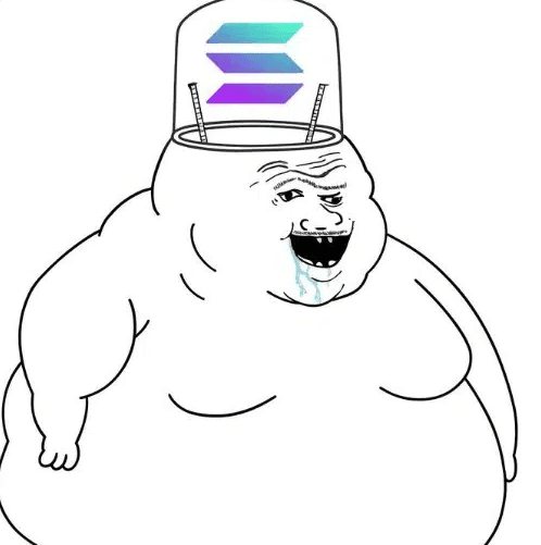 Czym jest Stupid Overweight Losers(SOL)