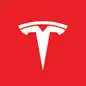 什么是 Tesla  AI   DEX. ✨(Tesla   AI)